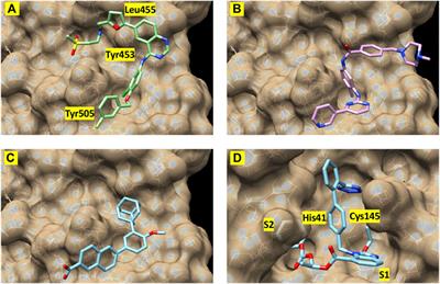 Discovery of Small-Molecule Inhibitors of SARS-CoV-2 Proteins Using a Computational and Experimental Pipeline